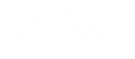 logo visa