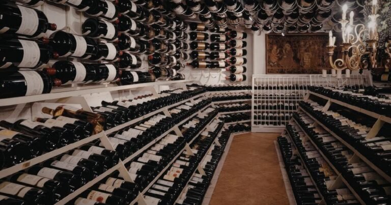 Cave à vin de présentation avec rangement mural et casiers au sol pour des centaines de bouteilles