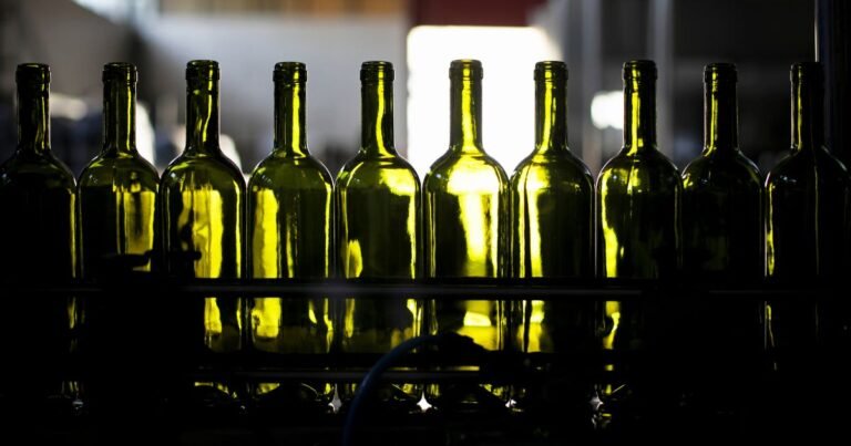 Bouteilles de vins vertes rangées avant remplissage