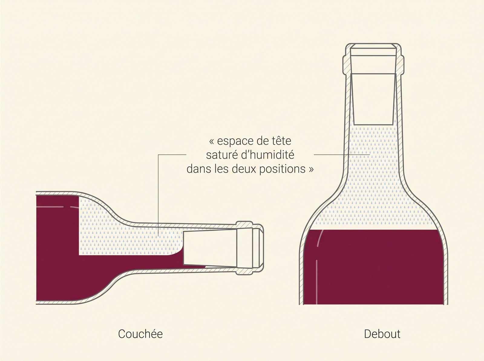 Schéma en coupe montrant l'espace de tête saturé d'humidité qu'une bouteille soit couchée ou debout