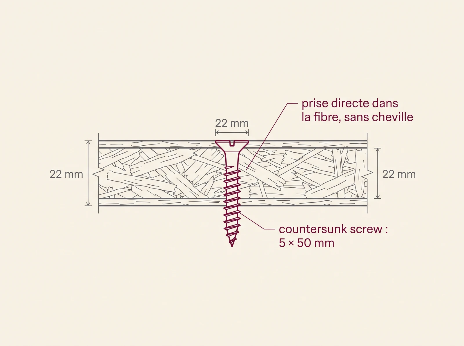 Cross-section of a 22-mm OSB panel with a 5 × 50-mm screw driven directly into the board without a screw anchor