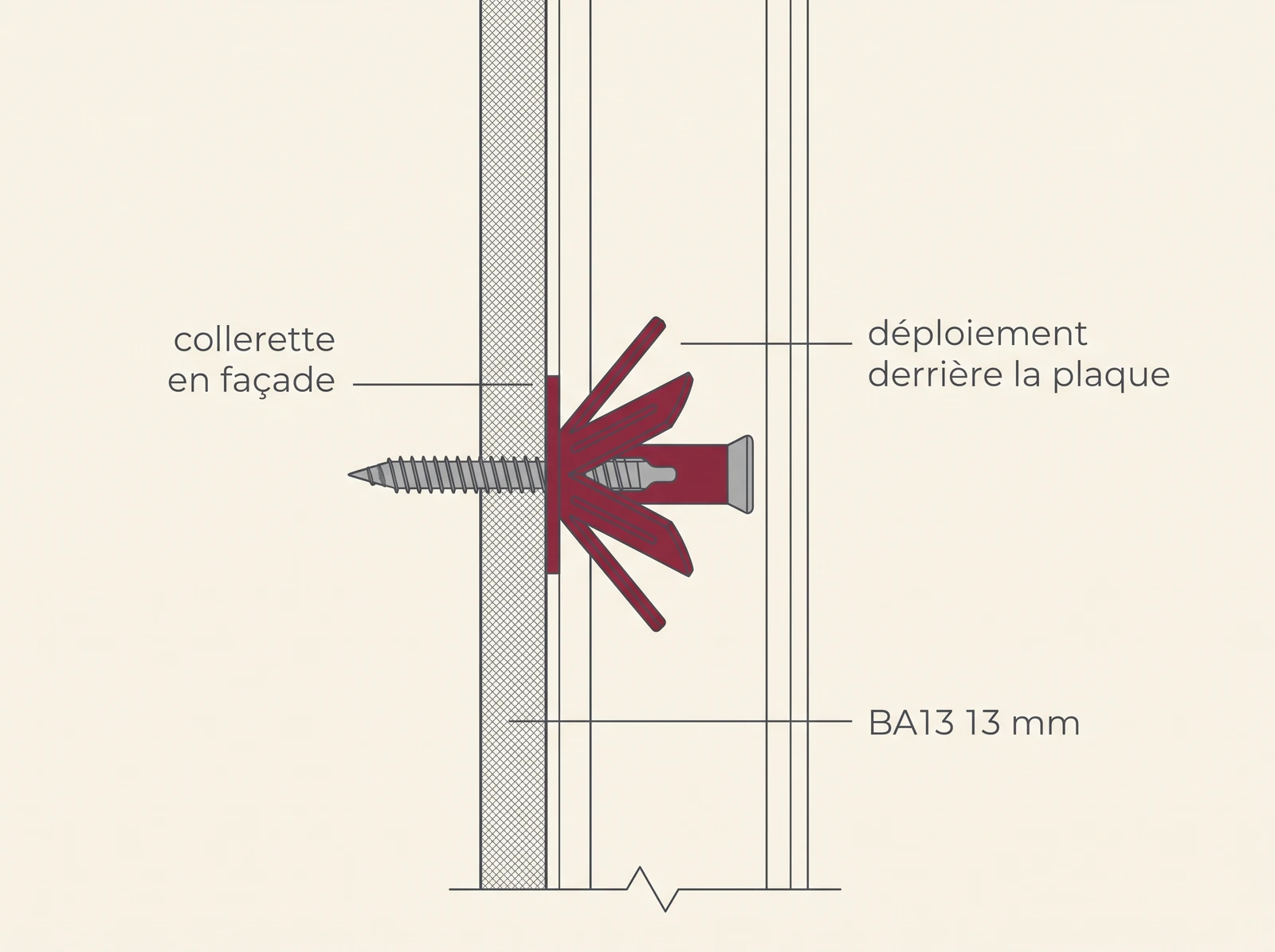 Cross-section of a BA13 wall with a Molly anchor expanded behind the plate
