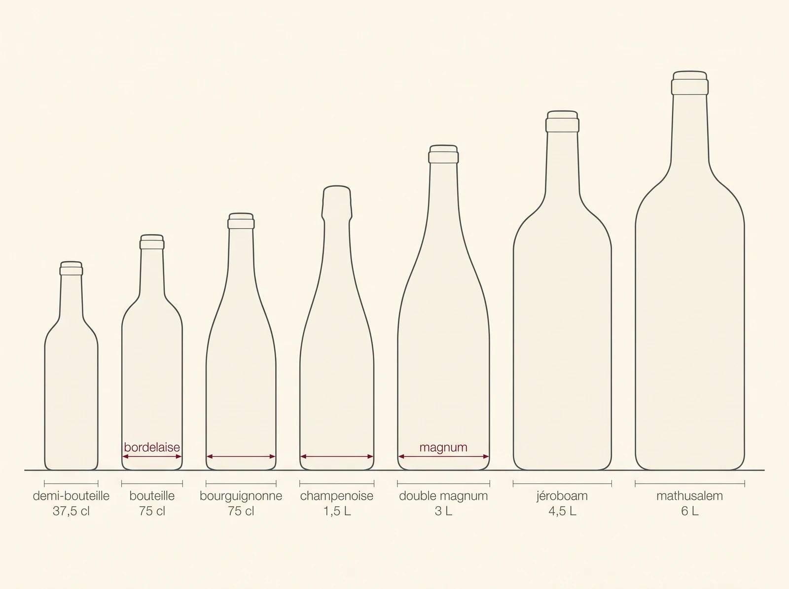 Planche comparative à l'échelle des formats de bouteilles, de la demi-bouteille au mathusalem 6 L